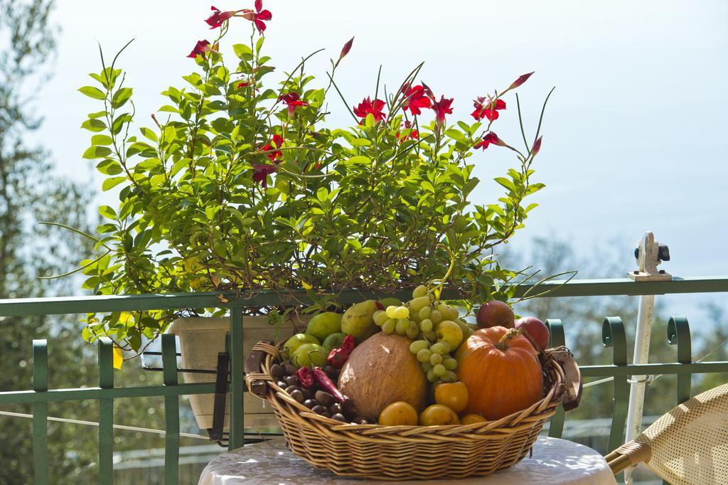 Agriturismo Mare E Monti Agerola Exterior photo